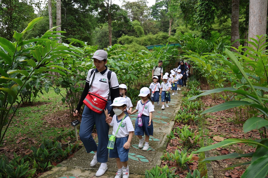 幼儿们兴奋地走入了期待已久的姜目植园，亲自接触认识各种姜目植物。【摄影：黄莉燕】